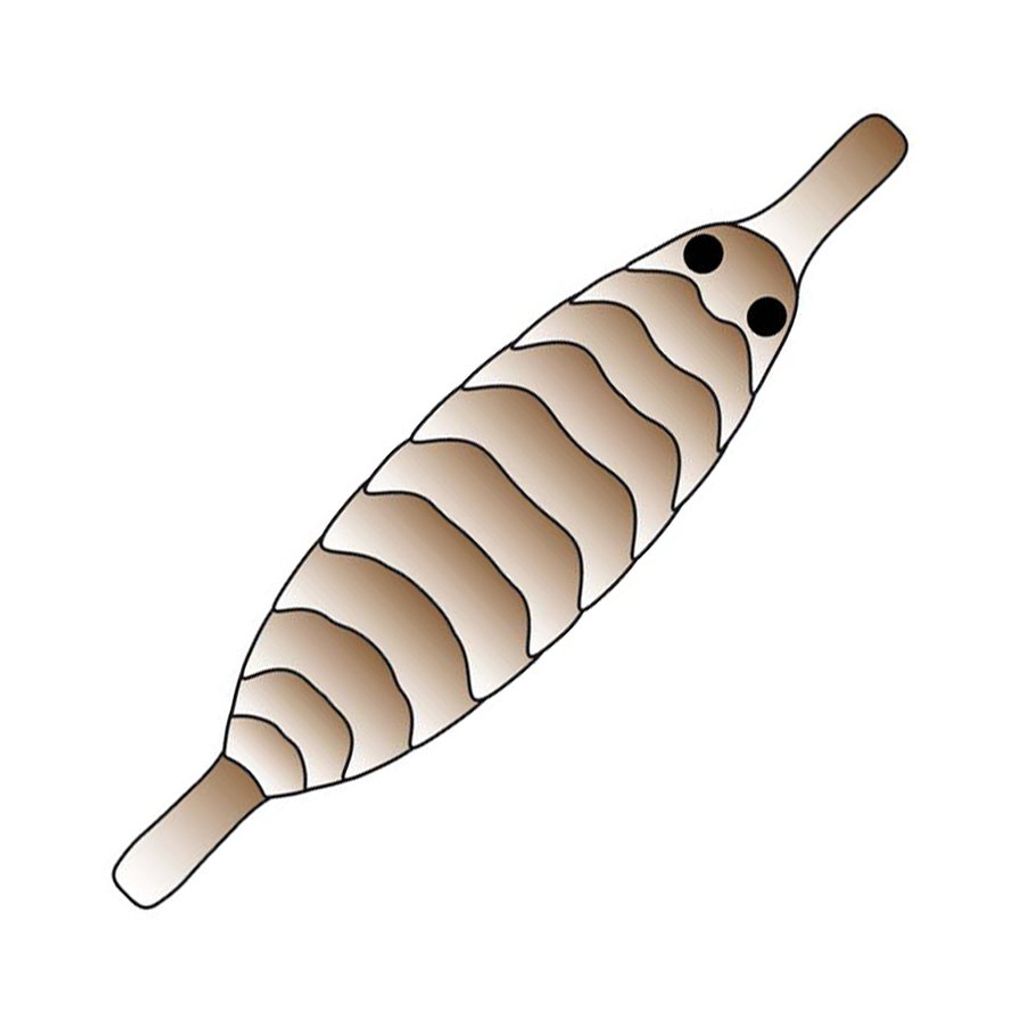 Pro Gammarus Shell Back - 4