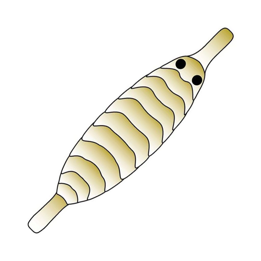 Pro Gammarus Shell Back - 5