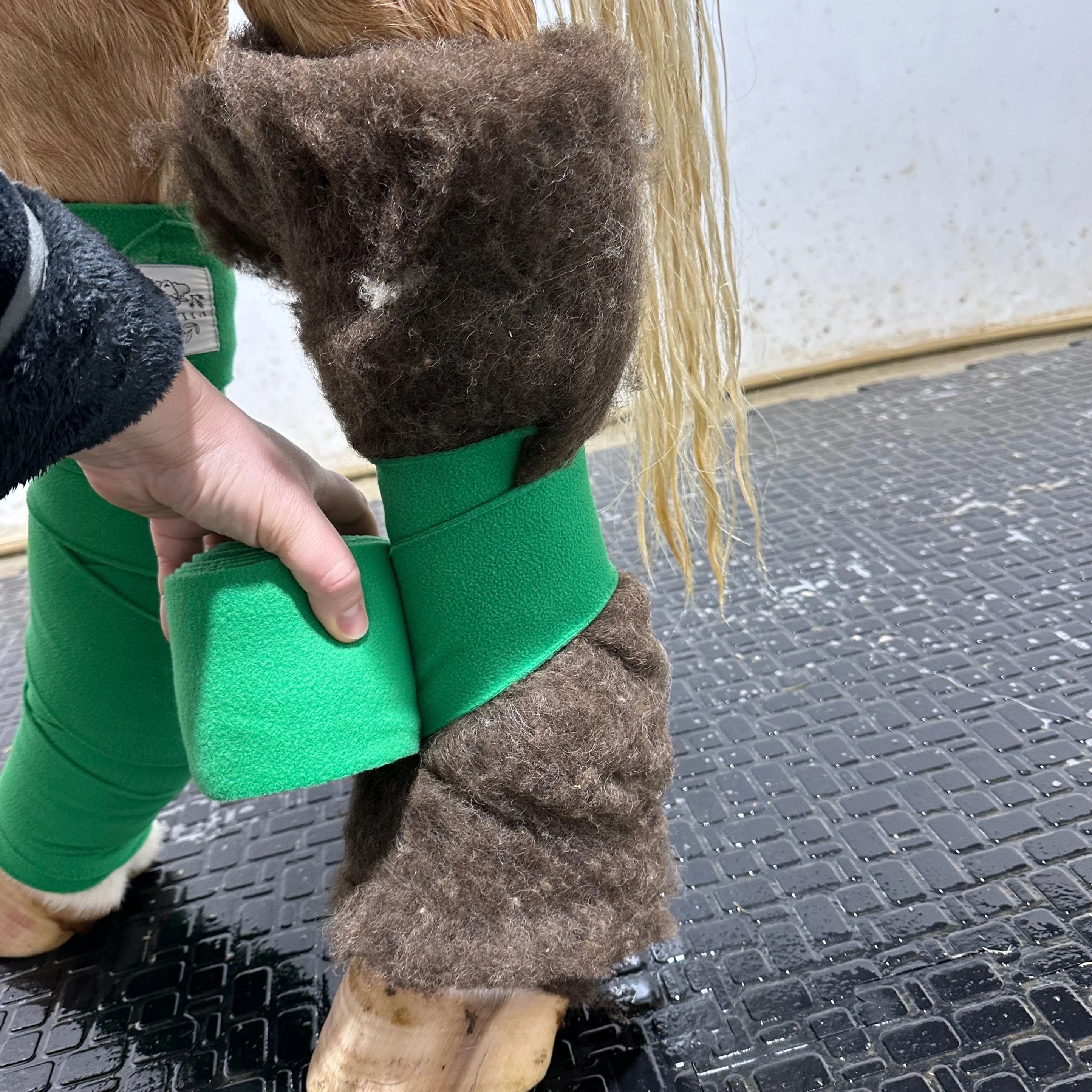 EQUNIQUE - Raw Wool Pads - 3
