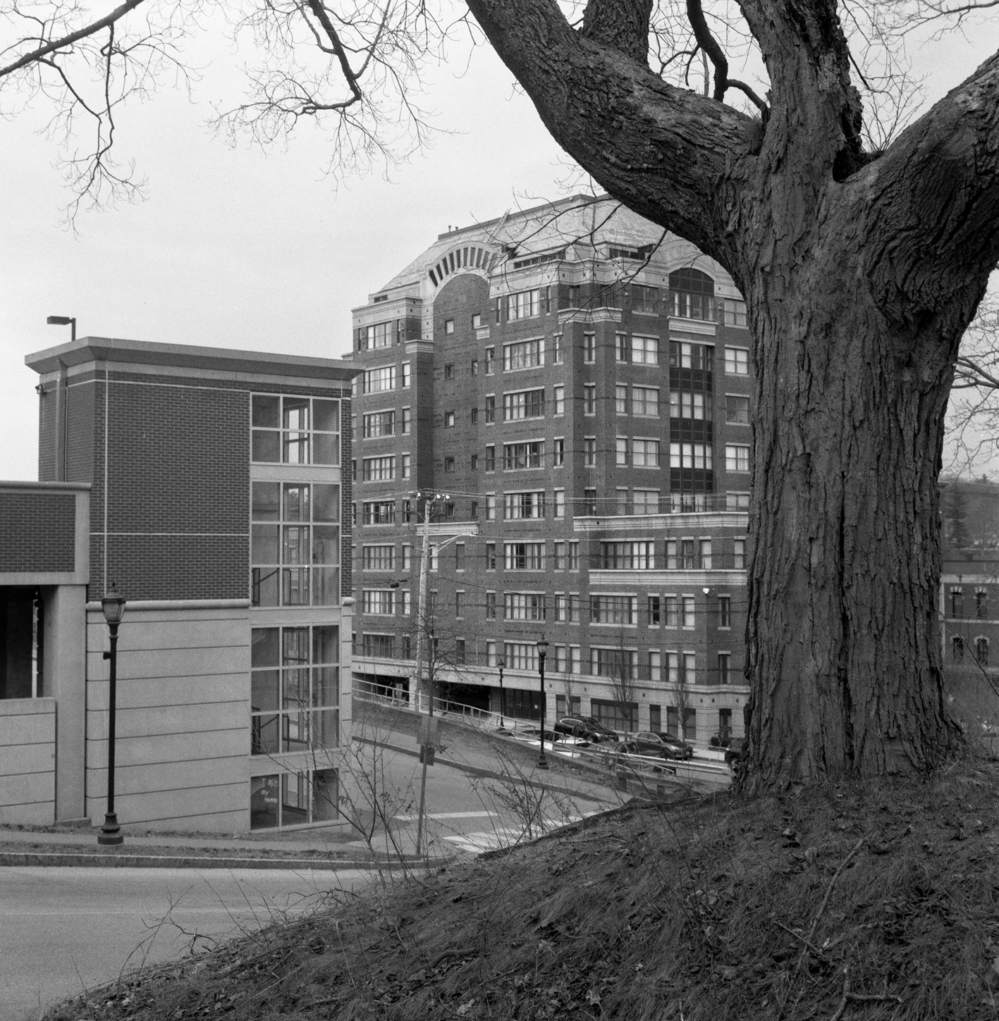 Gerry Johansson - Maine - 4