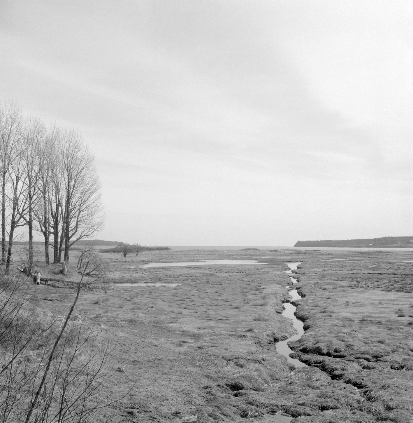 Gerry Johansson - Maine - 5