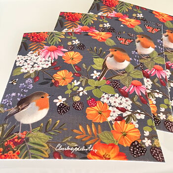 Åter i lager! Disktrasa med motiv, Robin rödhake