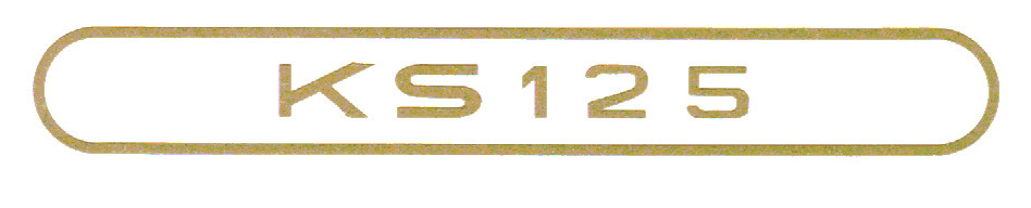 Dekal bakskärm"KS125" Guld