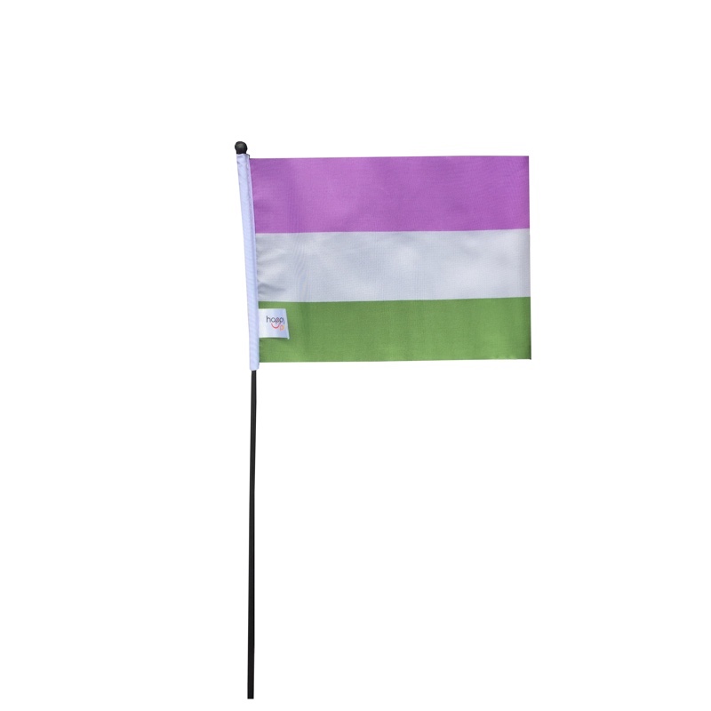 RFSL Mini-Flagge auf einem Stock - 9