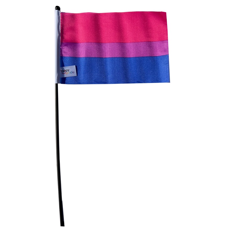 RFSL Mini-Flagge auf einem Stock - 4