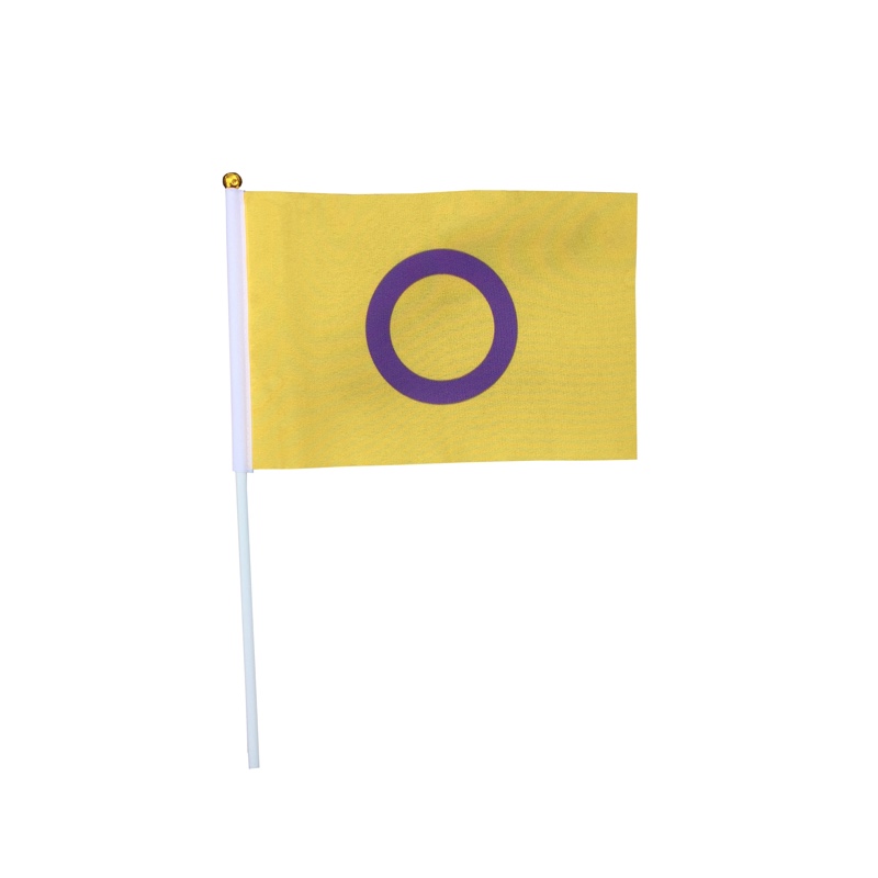 RFSL Mini-Flagge auf einem Stock - 16