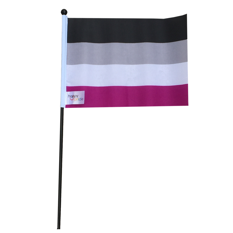 RFSL Mini-Flagge auf einem Stock - 6