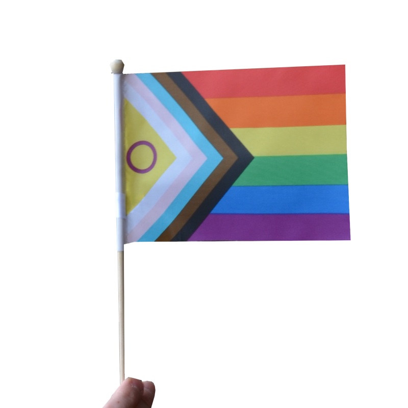 RFSL Mini-Flagge auf einem Stock - 15