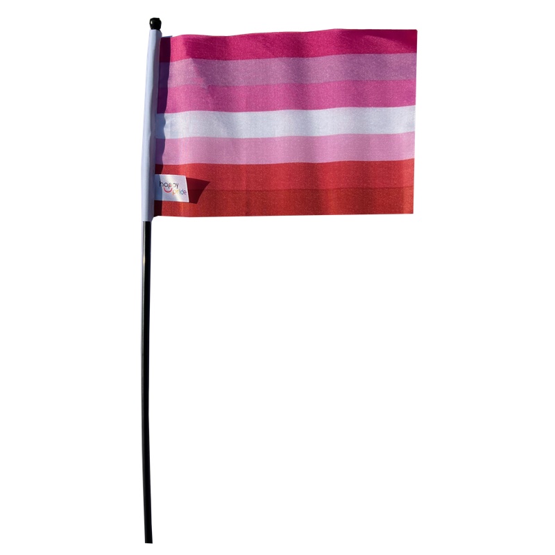 RFSL Mini-Flagge auf einem Stock - 11
