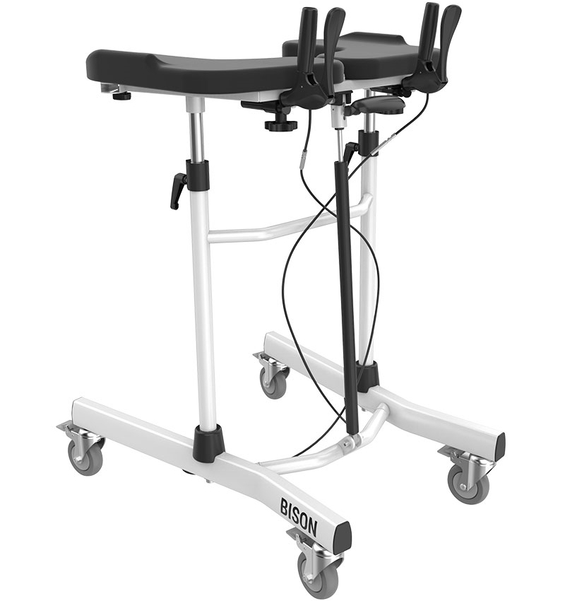 Bison gåbord