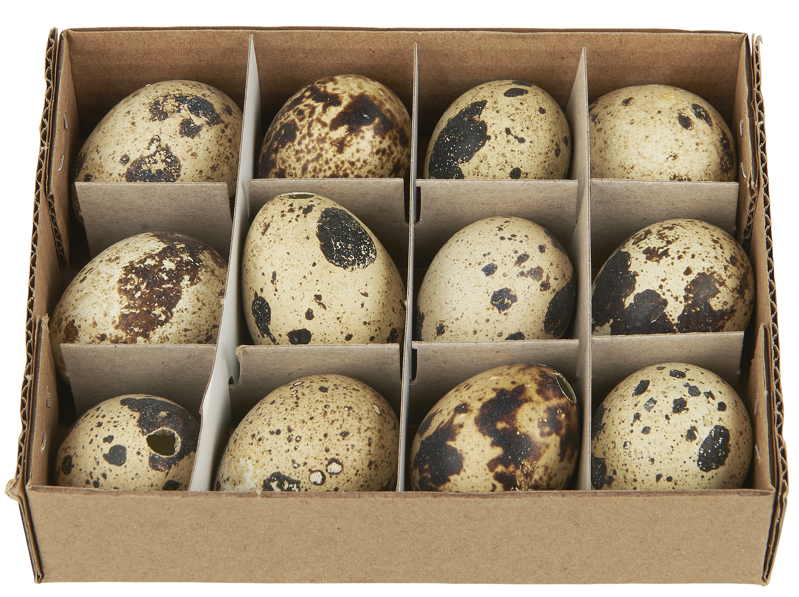 Vaktelägg Natur 12-pack - 6