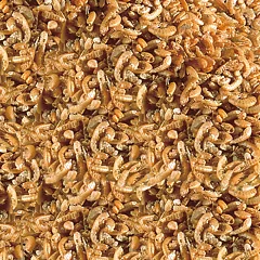Sera - Raffy I Nature Pellets 3,8L