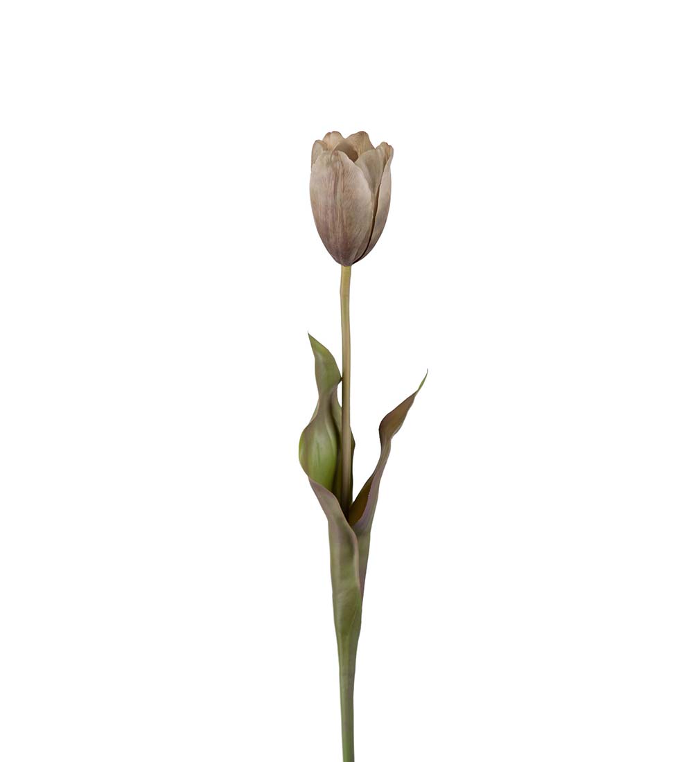 Tulpan grön 58 cm