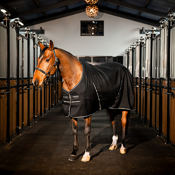 RAMBO STABLE SHEET 