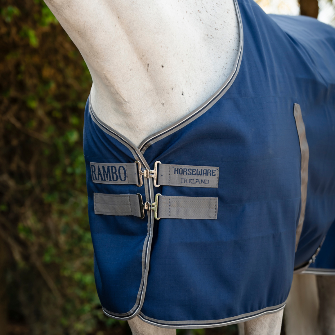 RAMBO STABLE SHEET  - 7