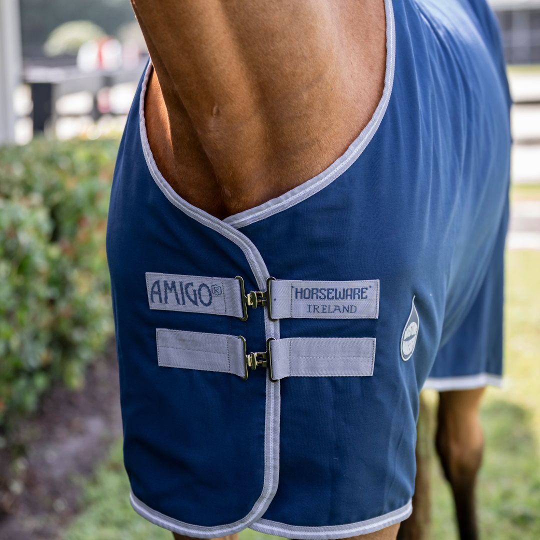 AMIGO STABLE SHEET - 3