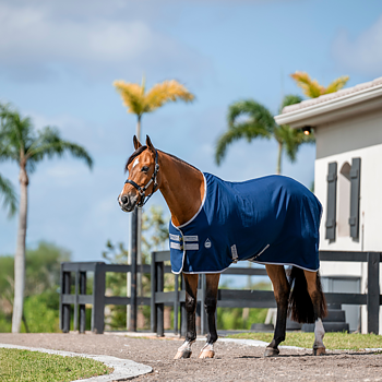 AMIGO STABLE SHEET