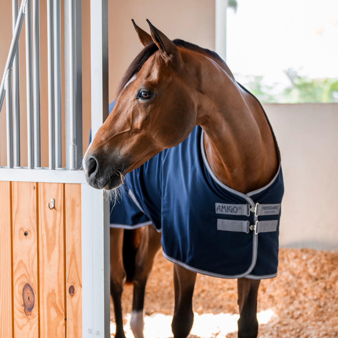 Horseware Amigo Stable Sheet au meilleur prix sur Zoo Mania