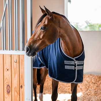 AMIGO STABLE SHEET