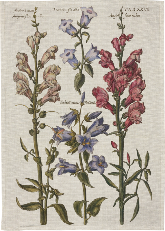 Vintage Collection Kökshandduk Campanula