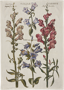 Vintage Collection Kökshandduk Campanula
