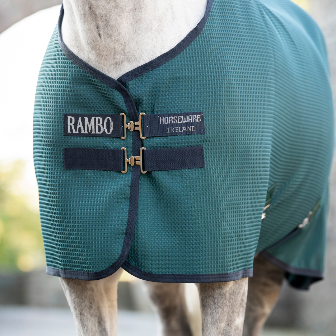 RAMBO TECHNI WAFFLE COOLER - 9