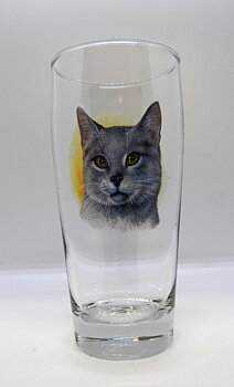 Öl vatten eller läsk 40 cl Katt Nr1