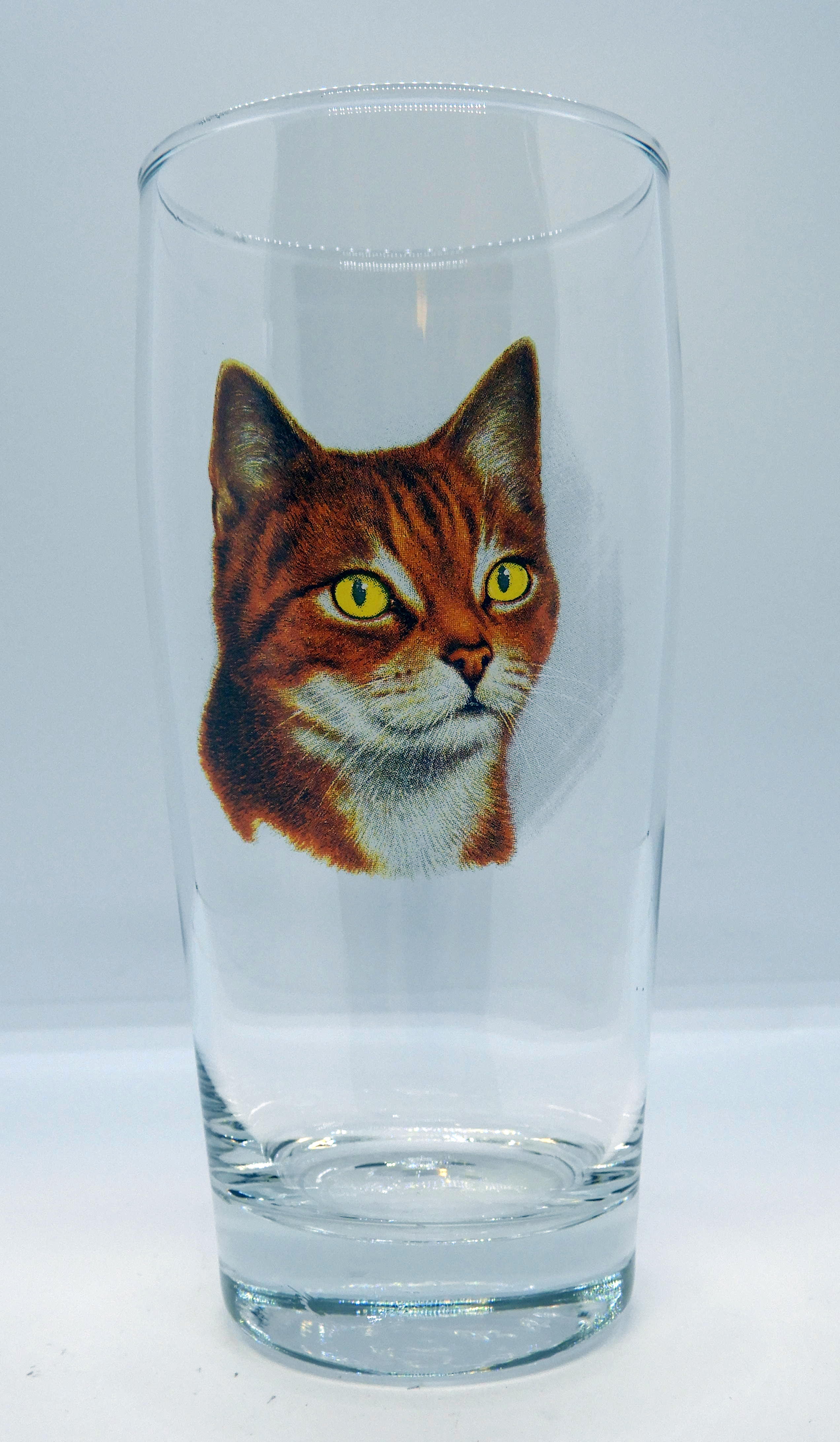 Öl vatten eller läsk 40 cl Katt Nr2