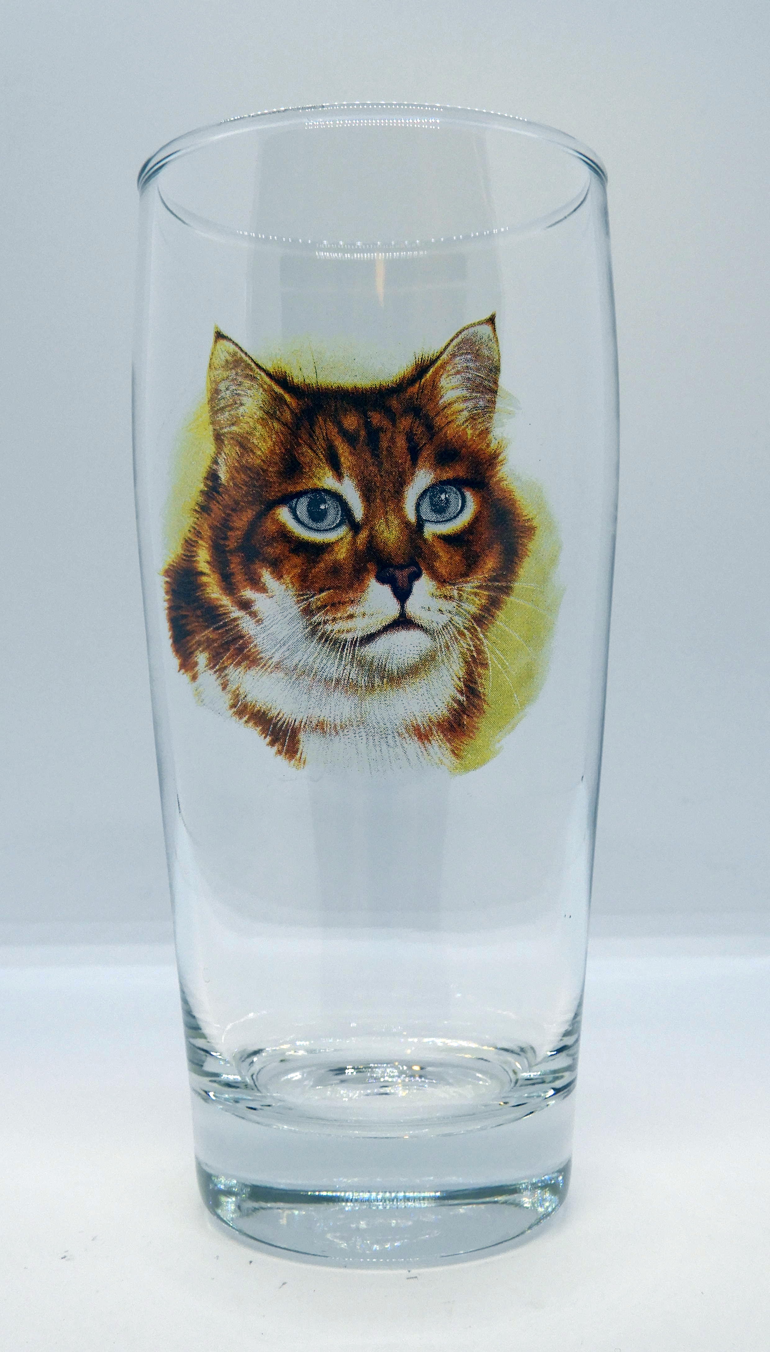 Öl vatten eller läsk 40 cl Katt Nr3