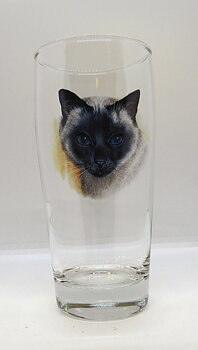Öl vatten eller läsk 40 cl Katt Nr4