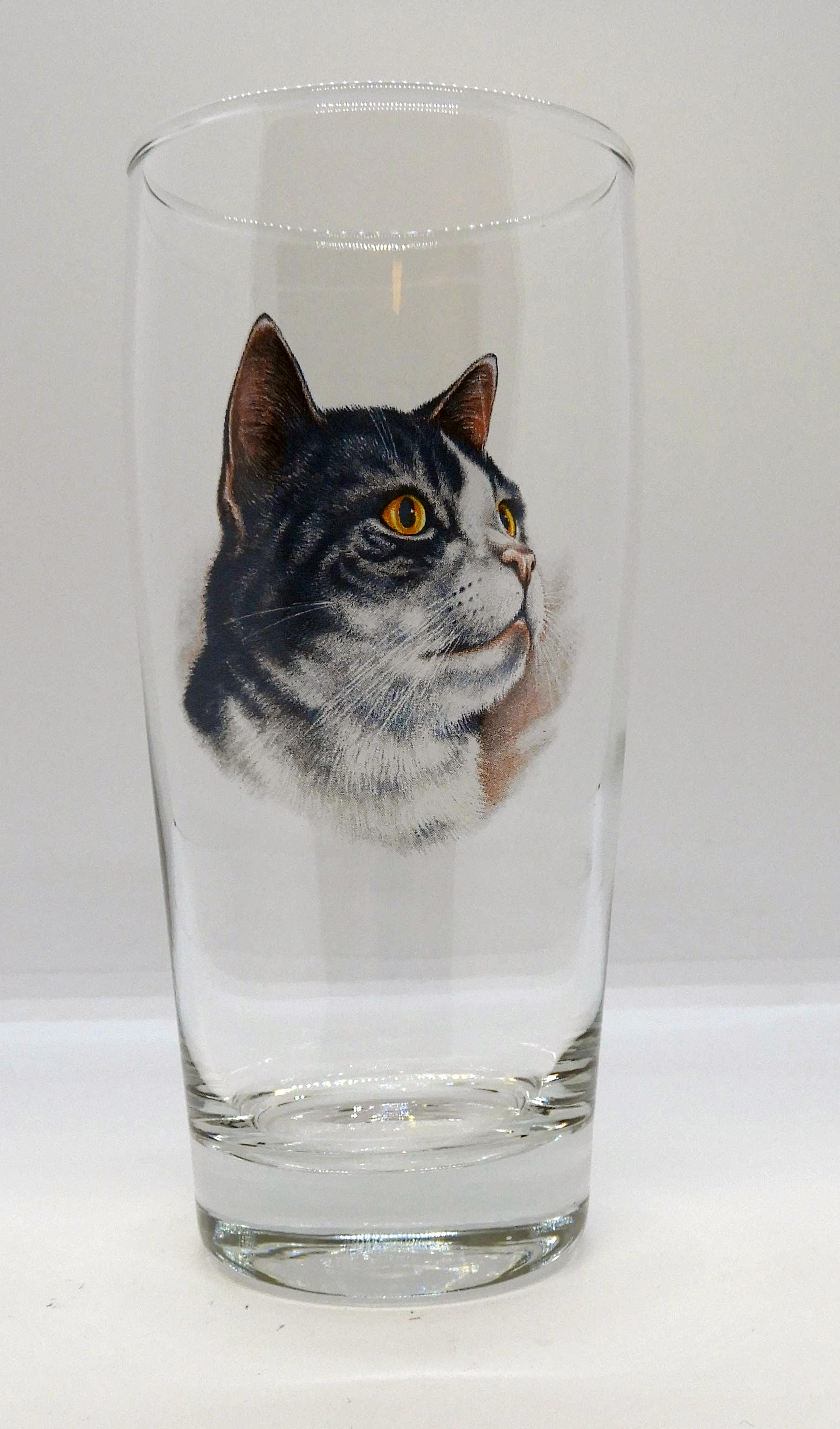 Öl vatten eller läsk 40 cl Katt Nr5