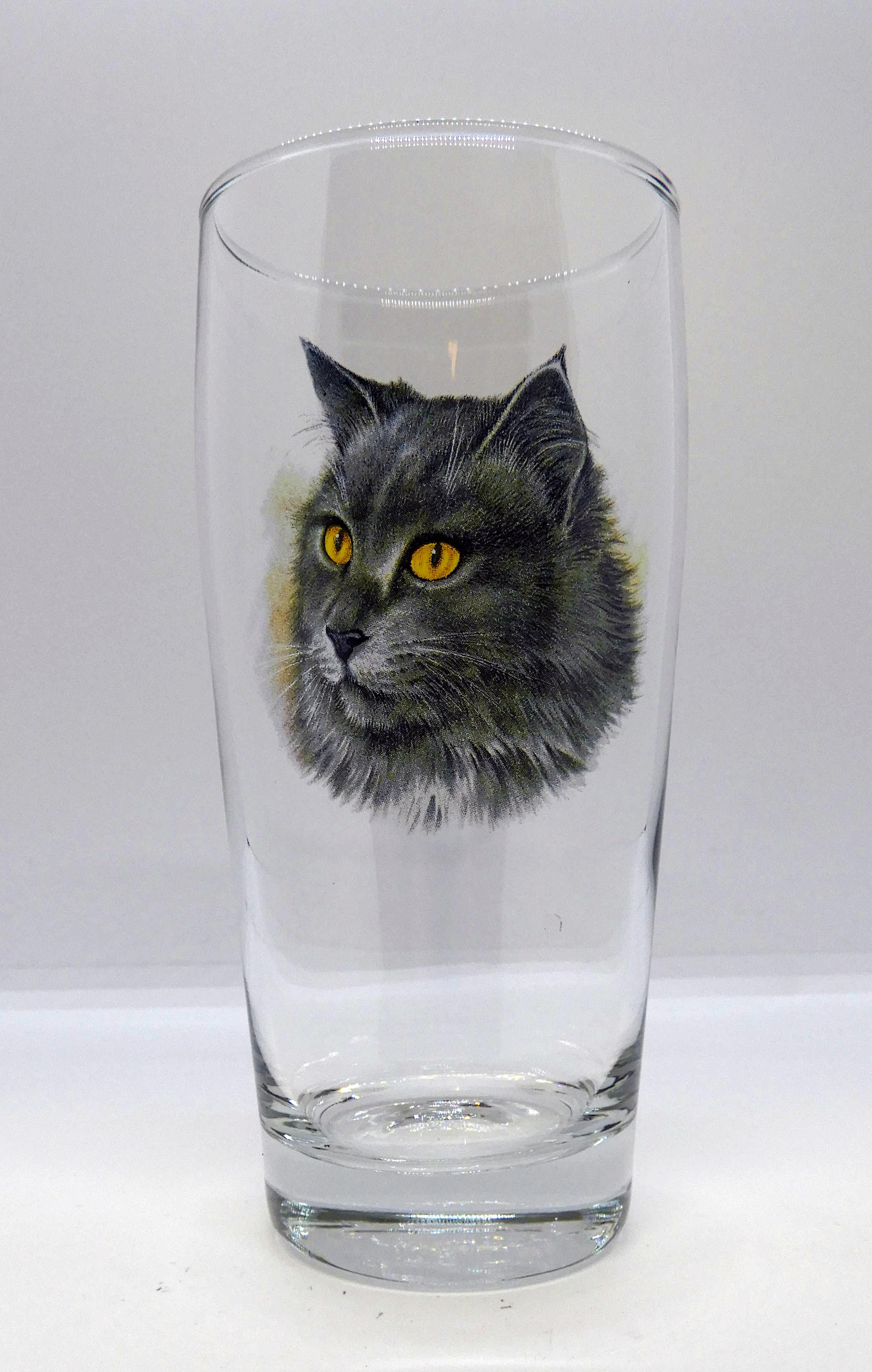 Öl vatten eller läsk 40 cl Katt Nr6