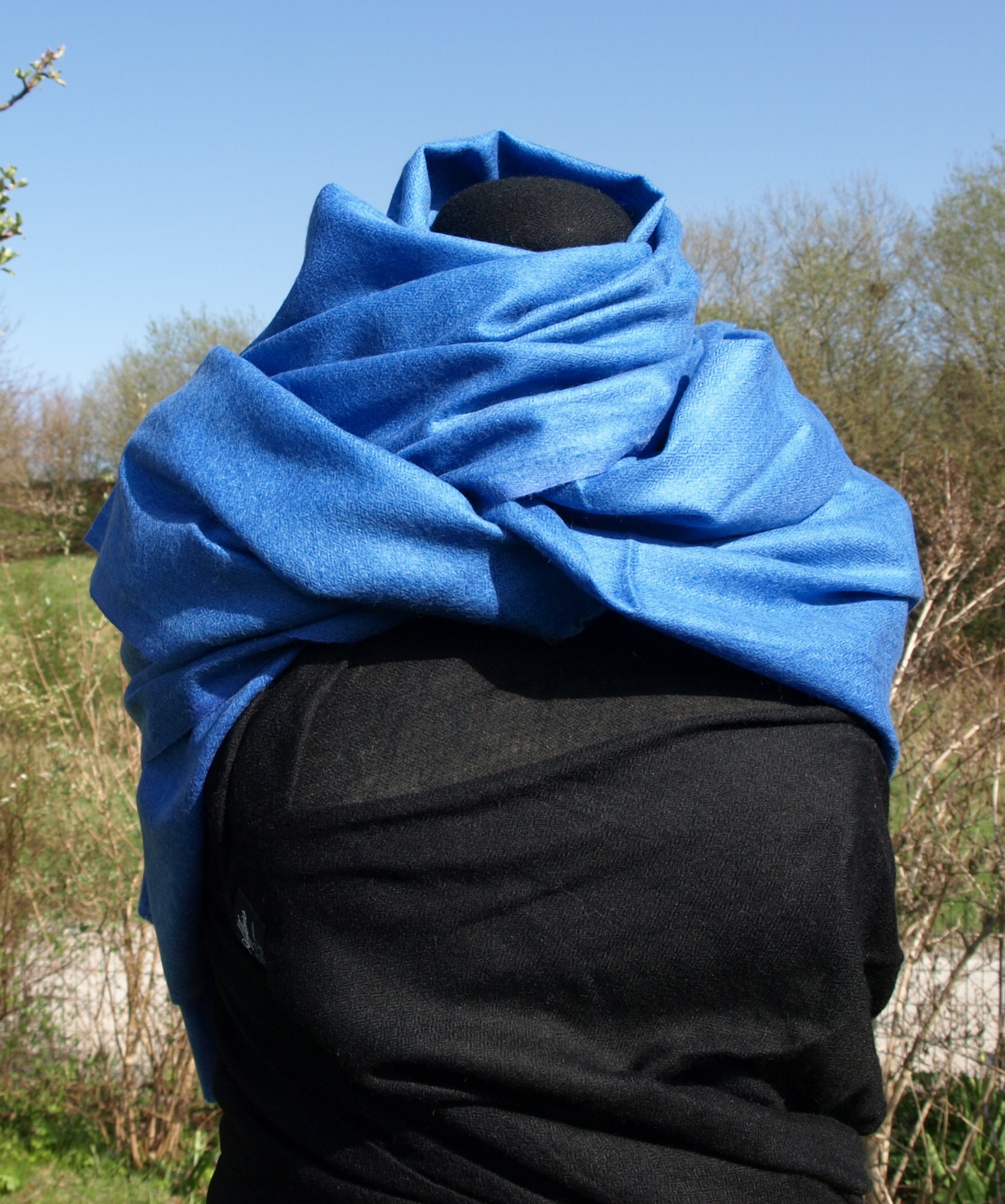 Kashmirsjal Kungsblå