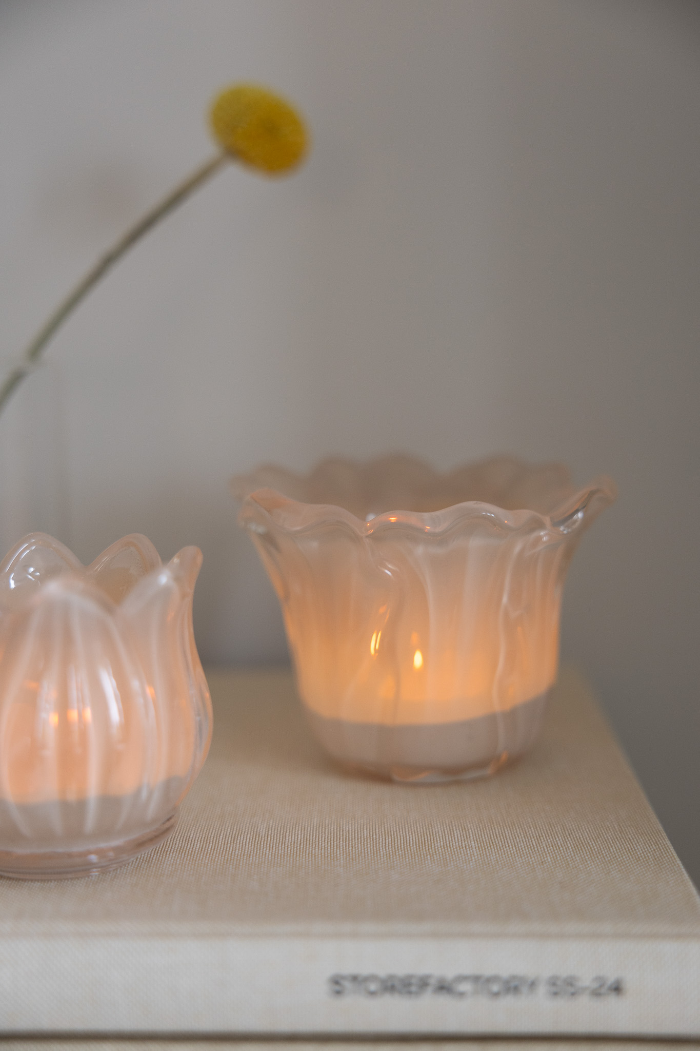 Ljunga - Candlestick - Lantern - Salad Leaf - Glass - Beige