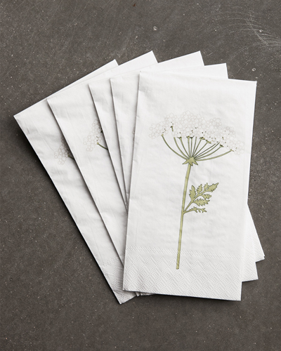 Dog biscuit napkin 16-pack - Printed on both sides - 6