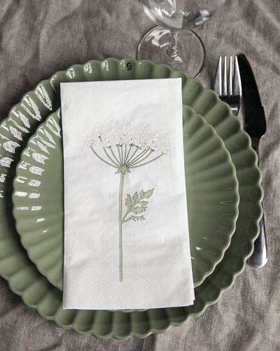 Dog biscuit napkin 16-pack - Printed on both sides