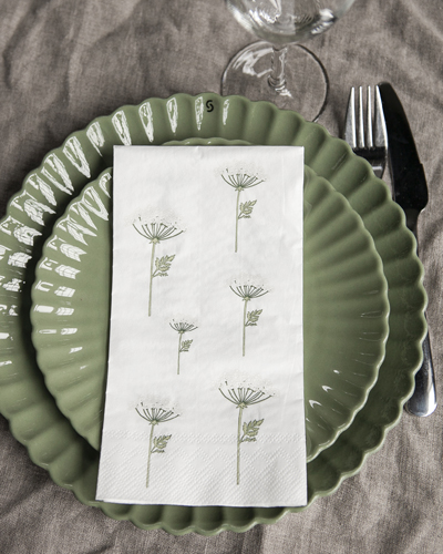 Dog biscuit napkin 16-pack - Printed on both sides - 5
