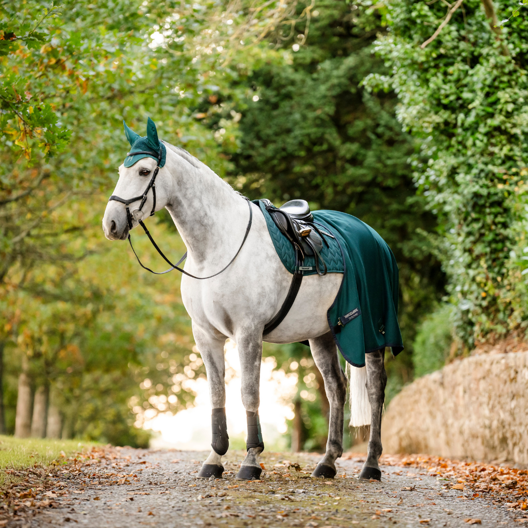 AMIGO JERSEY COOLER PONY - 9