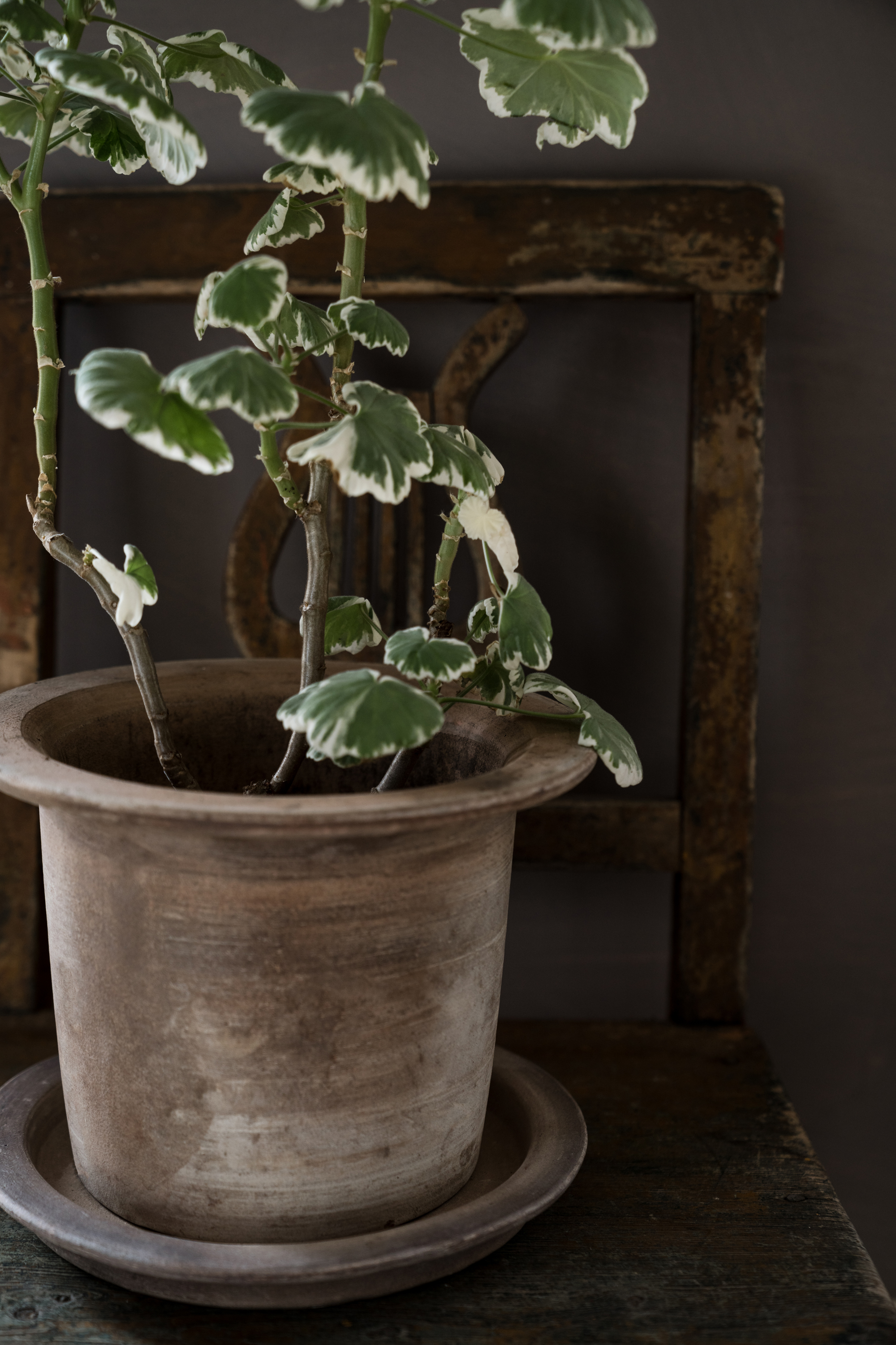ERNST Pot with saucer - Terracotta 24x17 cm - 2