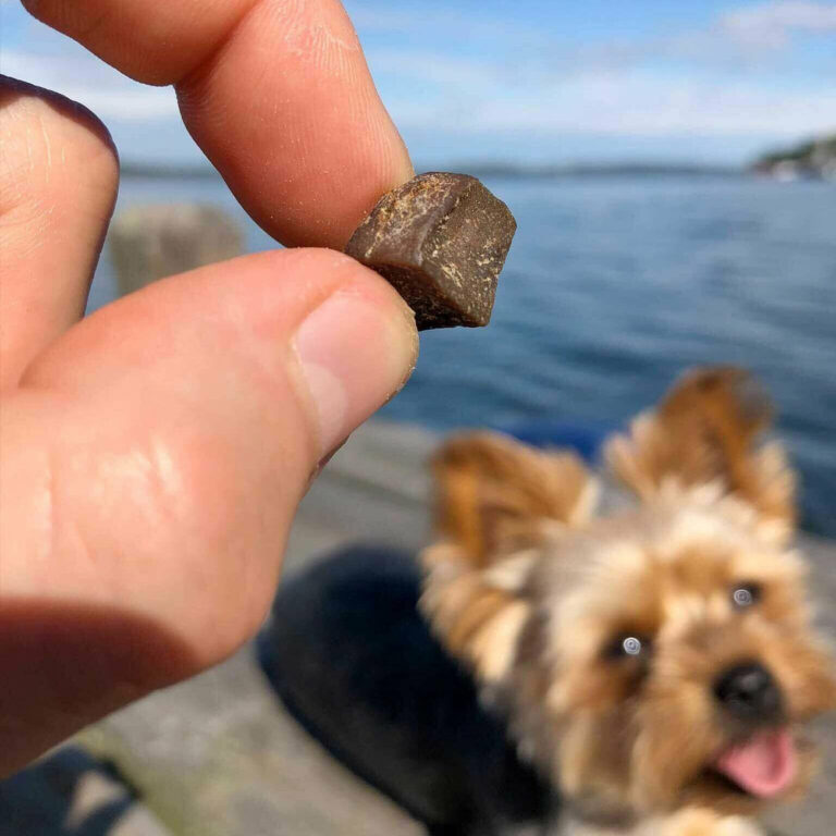 Tassafritt Hundgodis Oxnjure 80g - 3