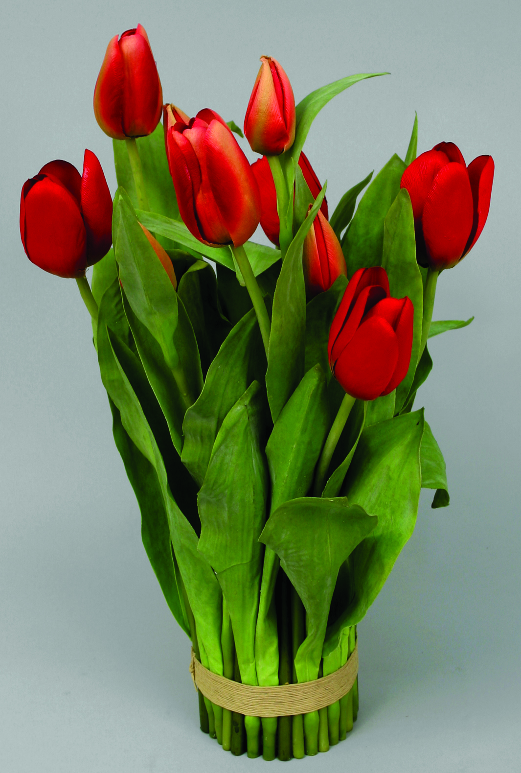 Tulip in a bunch - Red - 40 cm - 2