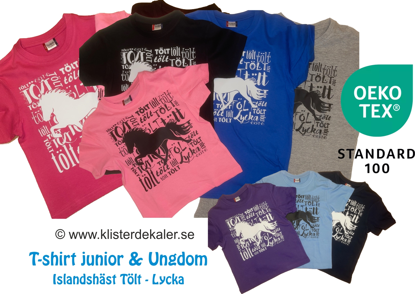 T-shirt. Islandshäst Junior-Ungdom 