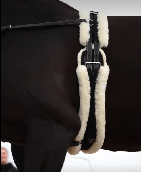 Horsedream® Sheepskin lunging girth, anthrazite - 7