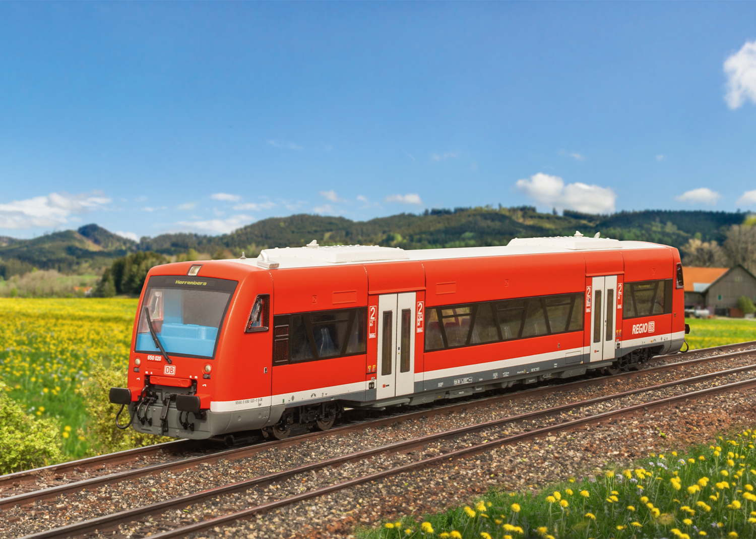 Dieseltriebwagen BR 650 DB - 3