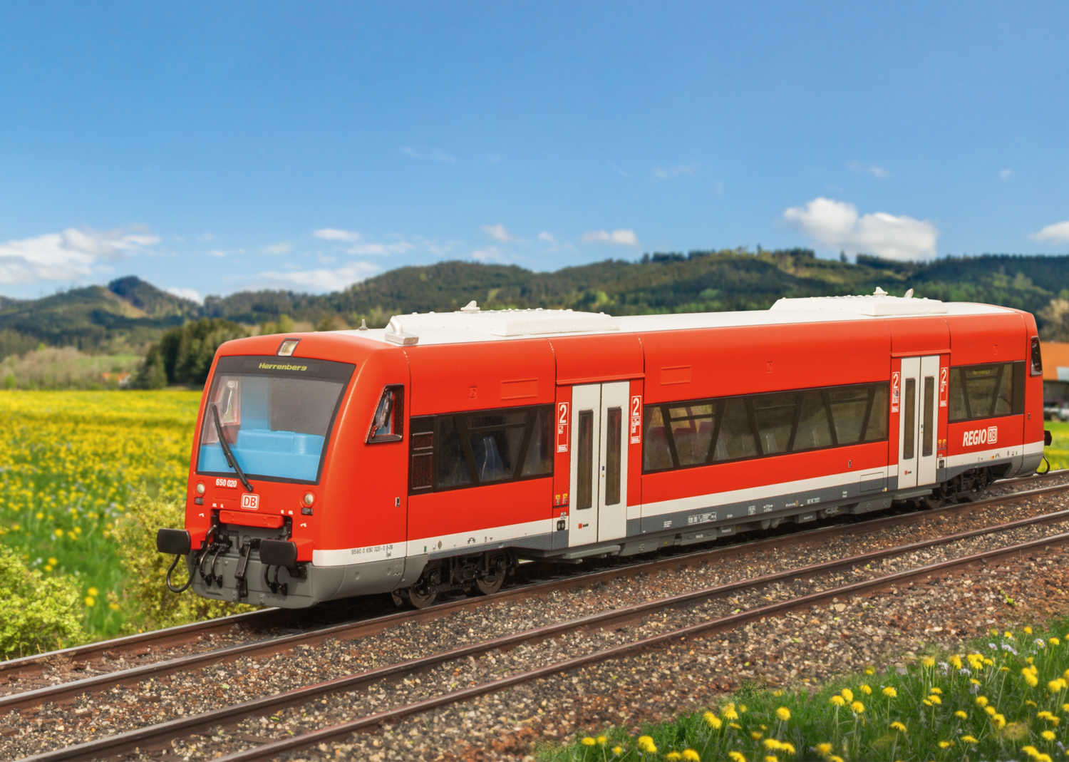 Dieseltriebwagen BR 650 DB - 2