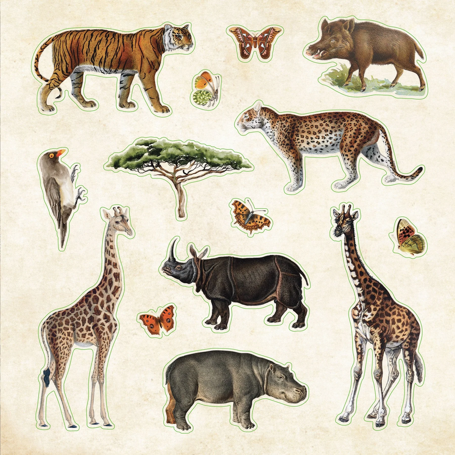 Zoological Ephemera Sticker Book - 2