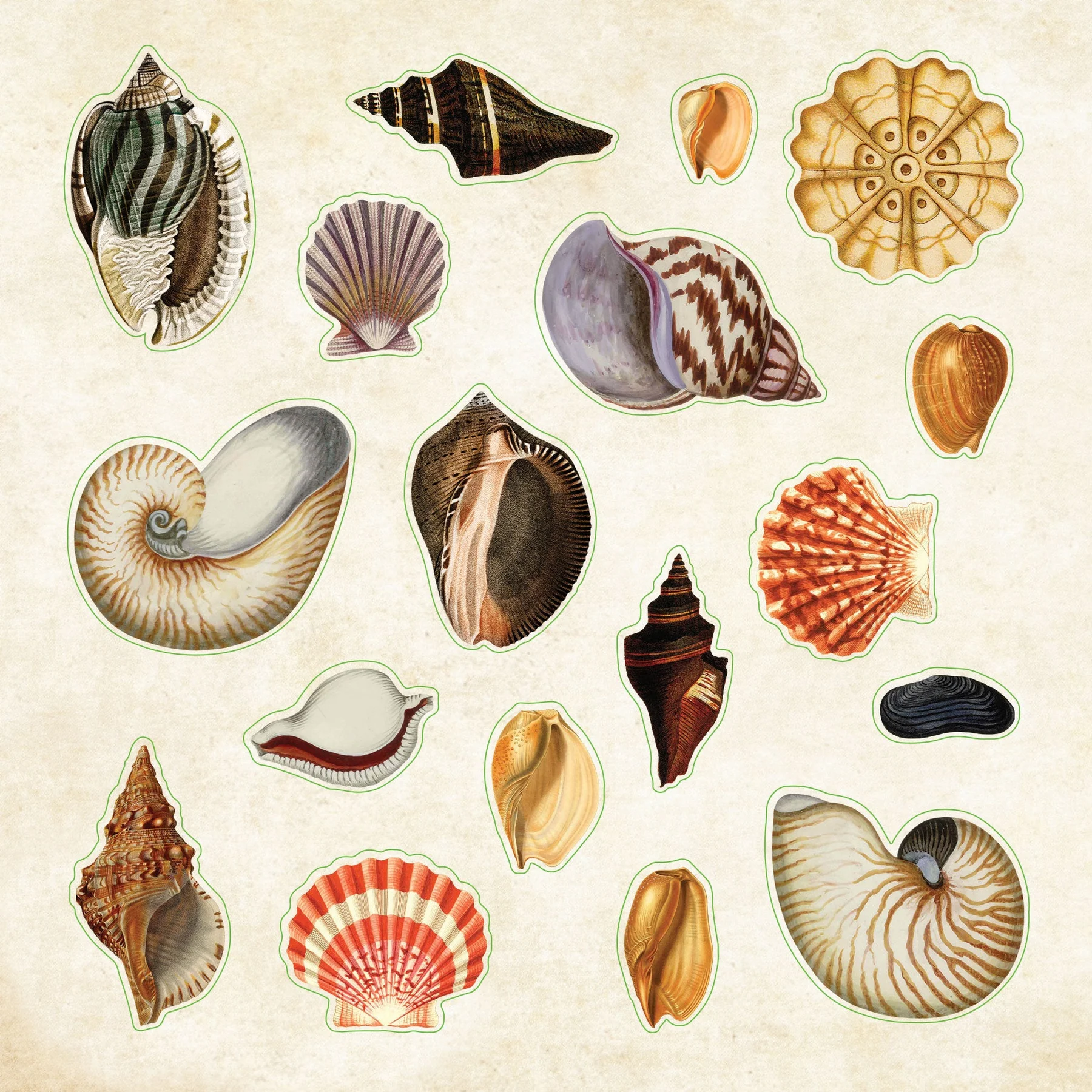 Poseidon's Kingdom Sticker Book - 2