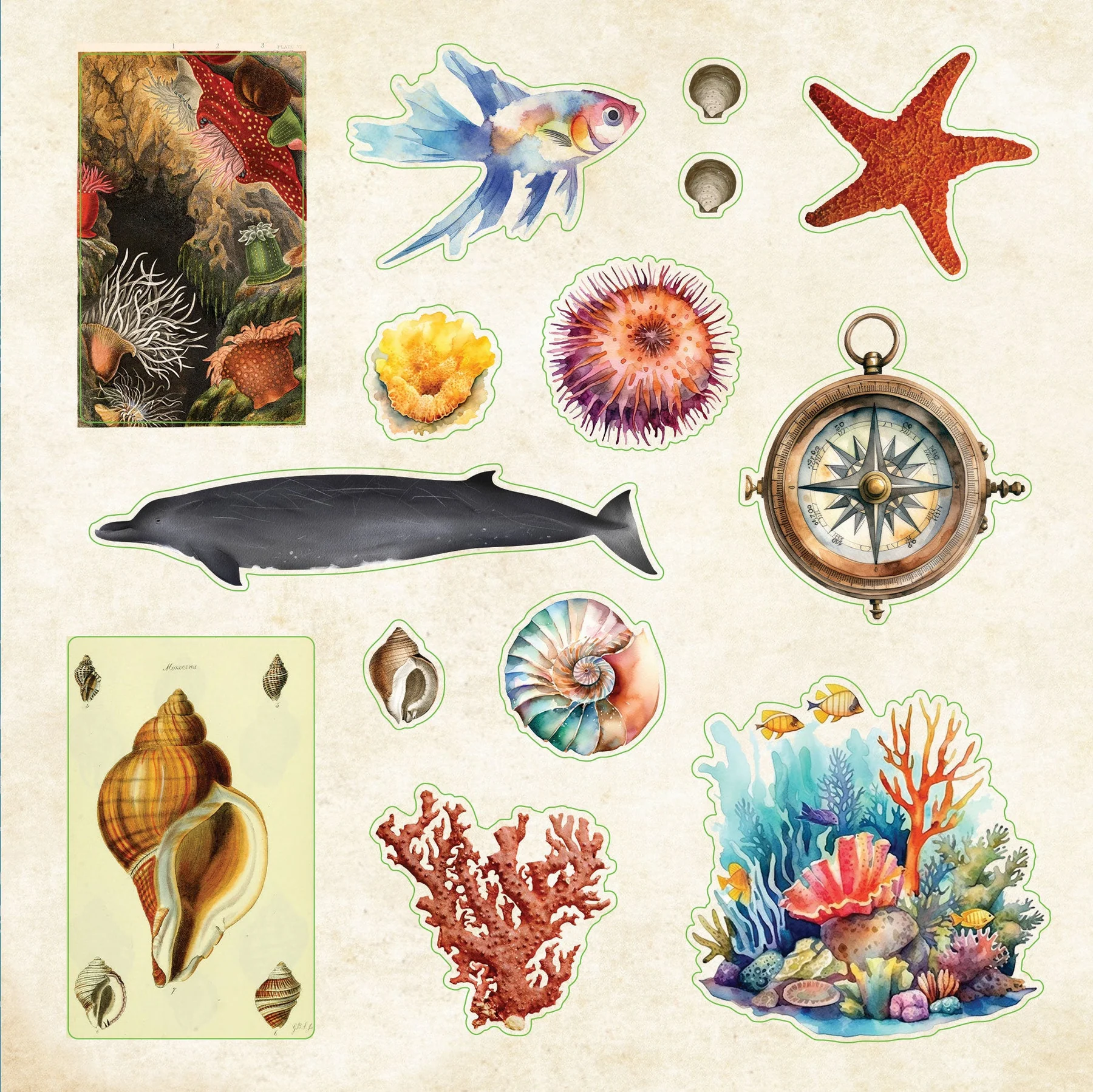 Poseidon's Kingdom Sticker Book - 4