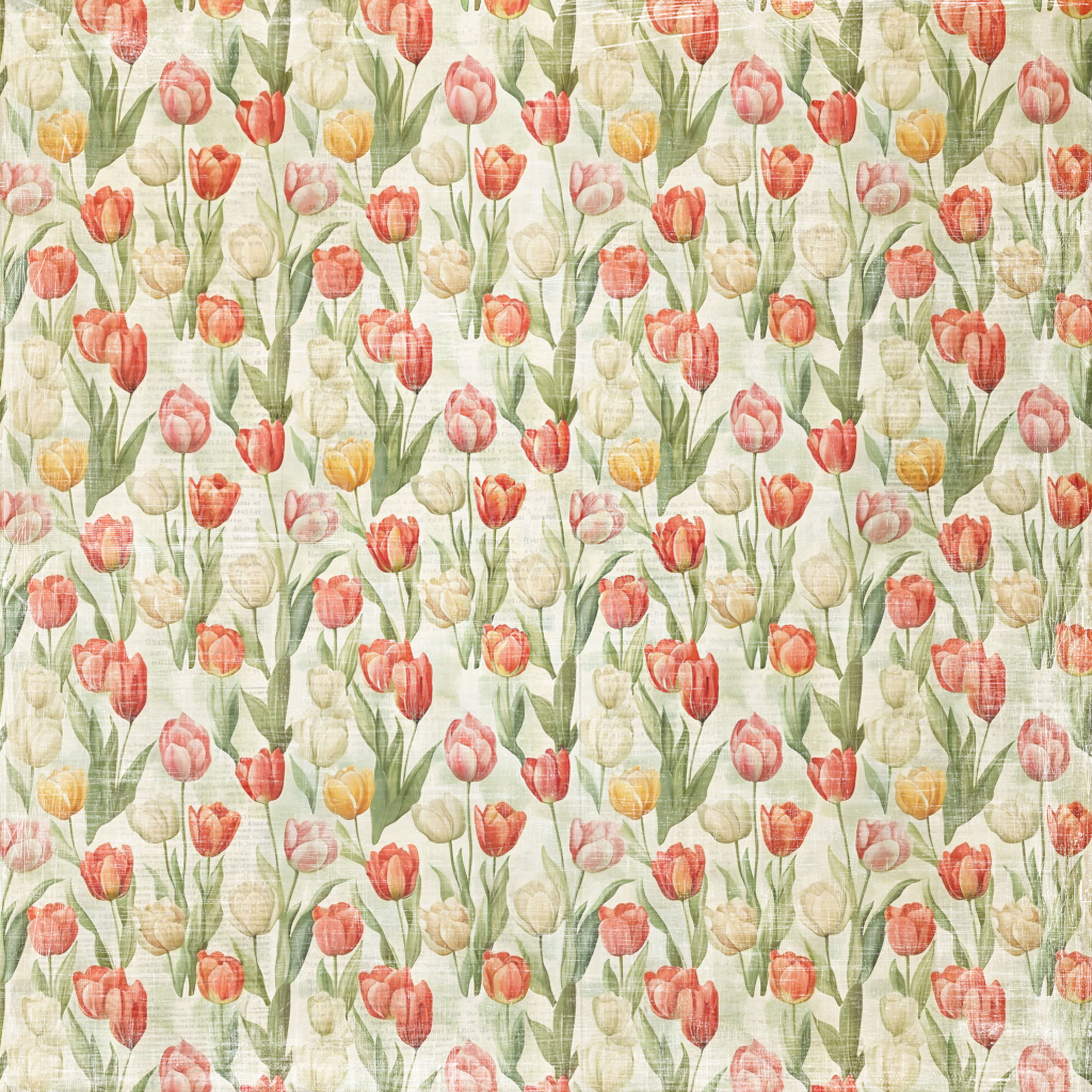 Papper Scrapbooking  Reprint - Hello Easter  Tulips -  12x12 (30,5 x 30,5 cm) - 2