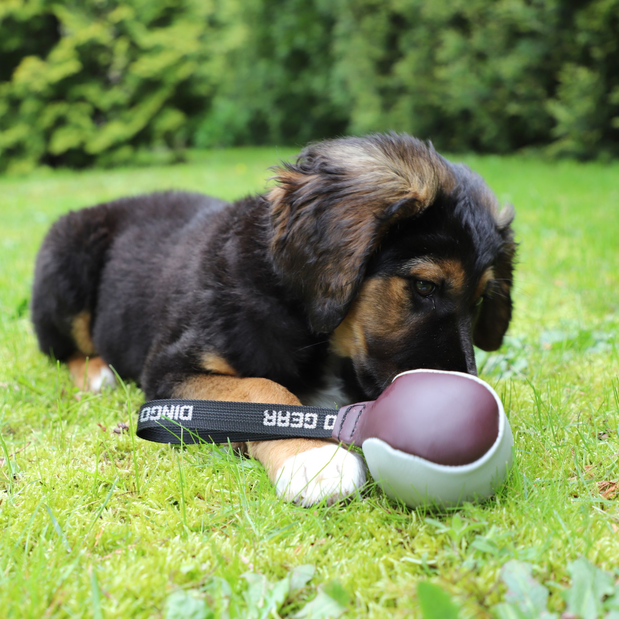Dingo Gear Leather Ball Tug Toy 8 cm - Assorted Colors